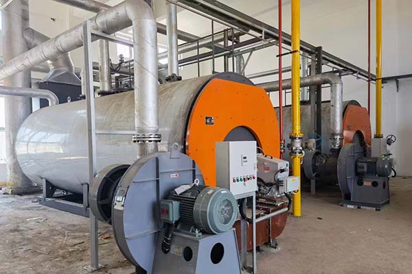 Steam Boiler for Bitumen Heat in Mongolia