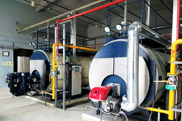 Steam Boiler for Petrochemical Industry in Alabama, USA