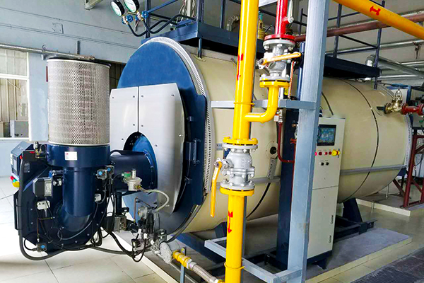 Steam Boiler for Petrochemical Industry in Alabama, USA