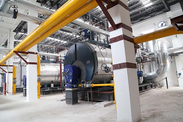 Steam Boiler for Pharmaceutical Machinery Use in Yemen