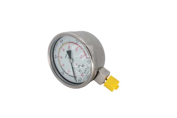 Pressure Gauge